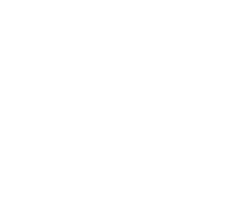 women summit